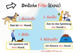 4 Fälle im Deutschen (Kasus) - einfach erklärt (+ Übungen)